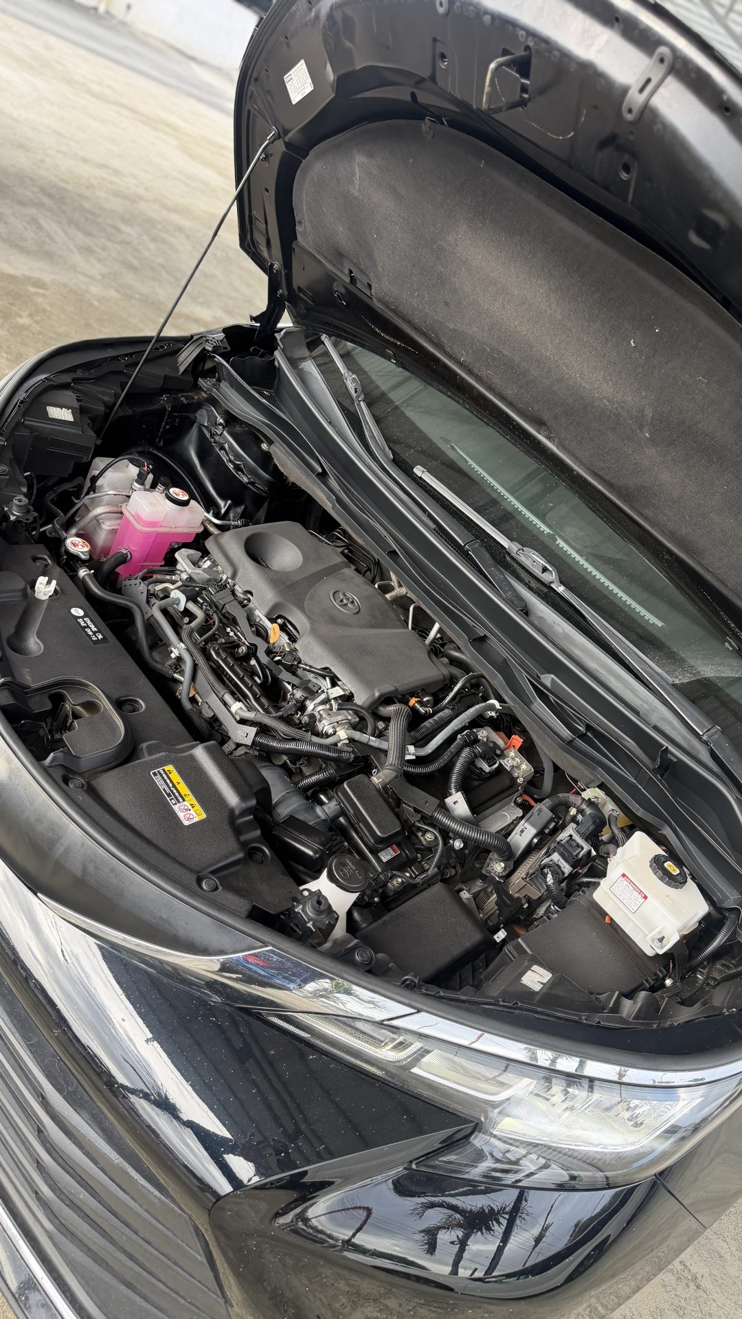 Vista 10 de Toyota Sienna 2022