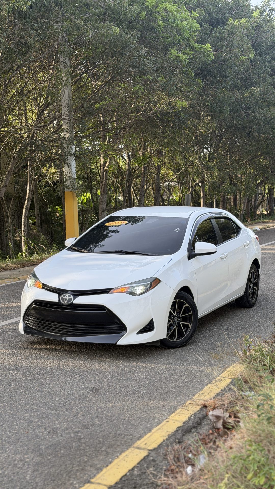 Toyota Corolla 2019