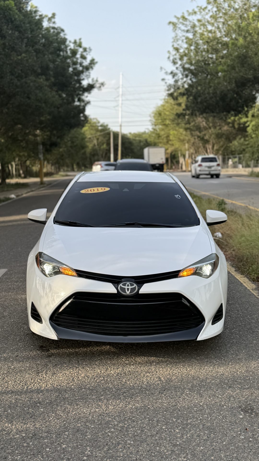 Vista 10 de Toyota Corolla 2019